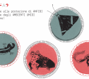 Il progetto a fumetti, breve video di presentazione di LIFE WetFlyAmphibia