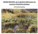 Le buone pratiche del nostro progetto