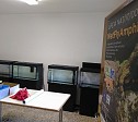 11/05/2018 Al via il ripopolamento dell'Ululone