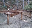 16/11/2018 A new pond in the Foreste Casentinesi National Park